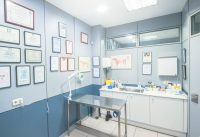 Consulta veterinaria 2
