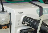 Endoscopia flexible