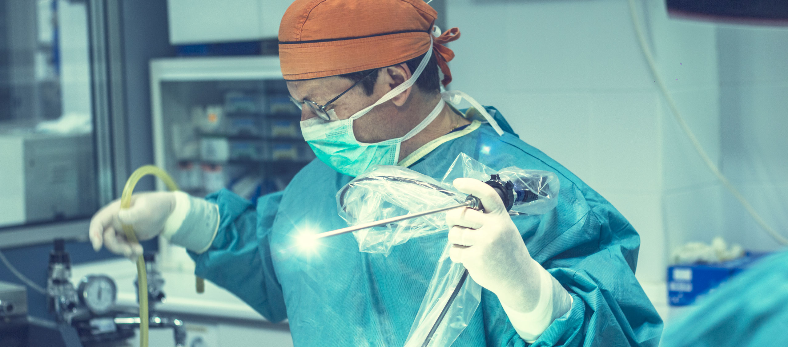 Endoscopia veterinaria Ayora Castración laparoscópica