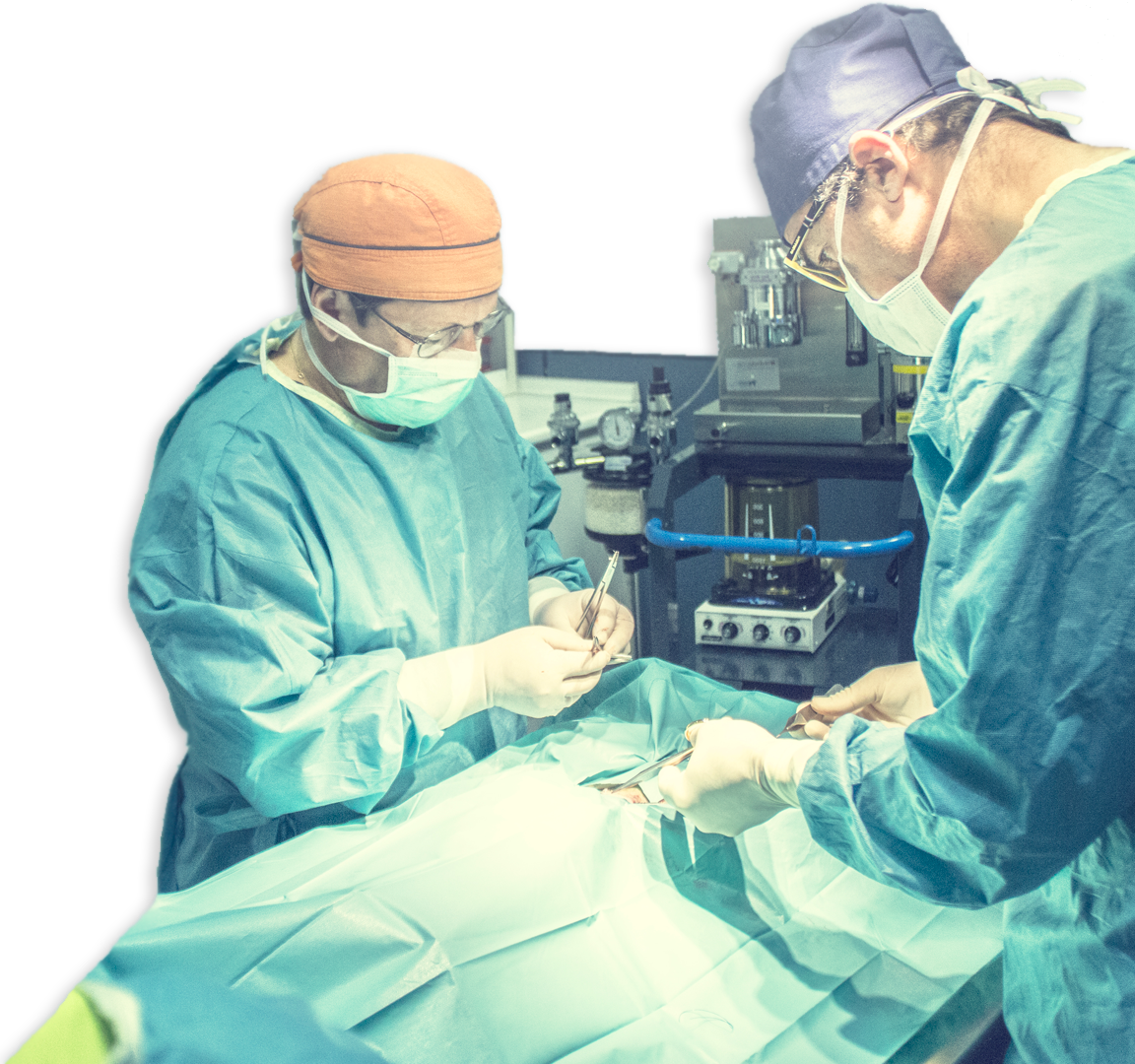 Especialistas en Endoscopia veterinaria